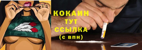 прущие крисы Арсеньев