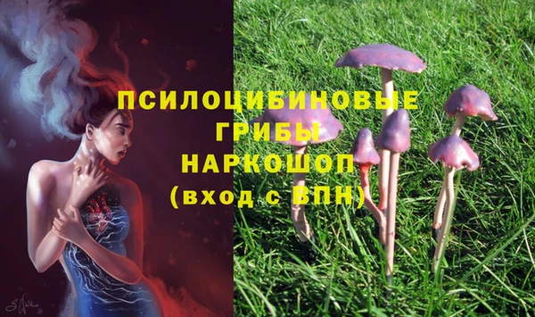 ALPHA-PVP Аркадак