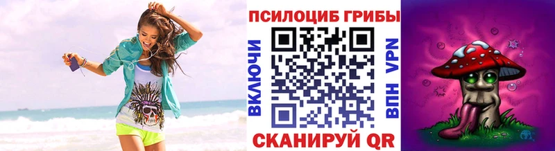 Галлюциногенные грибы прущие грибы  Лодейное Поле 